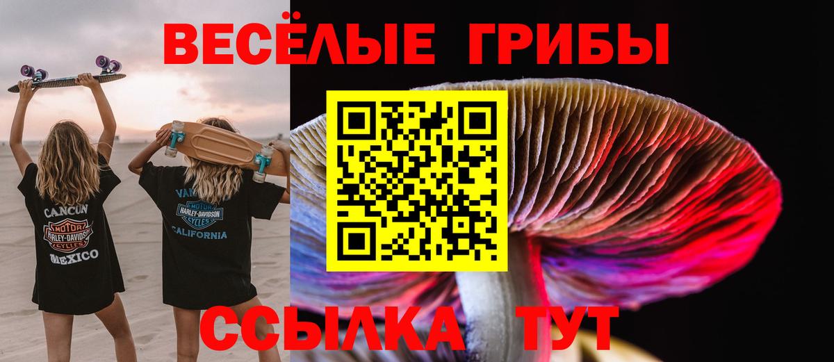 Галлюциногенные грибы Psilocybine cubensis  Галлюциногенные грибы Cubensis  Вход с VPN  Астрахань 